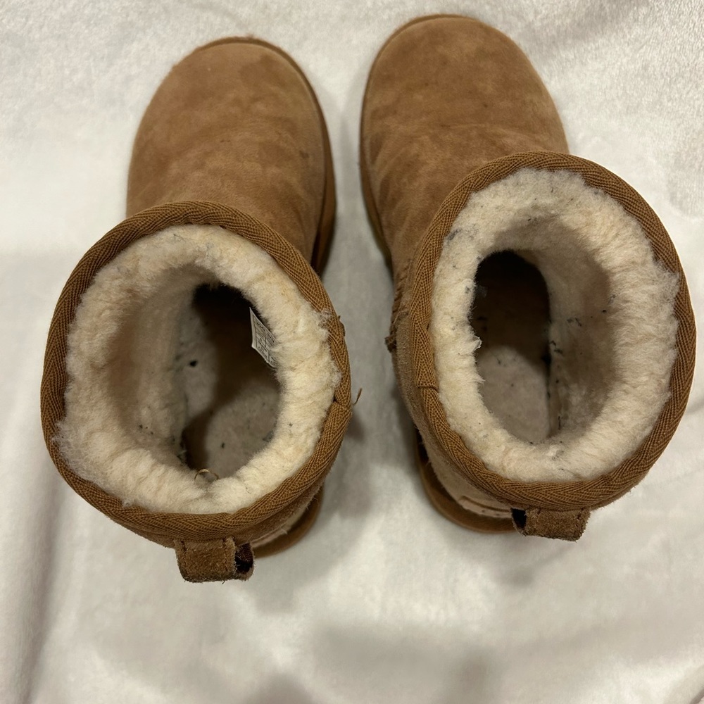 Ugg Minis!!!! - image 8